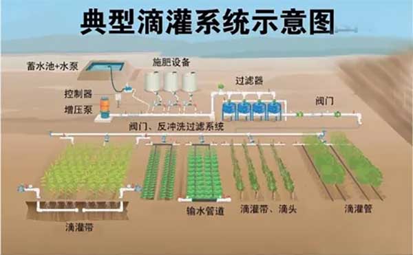 大量元素水溶肥,水溶肥使用方法,水溶肥料