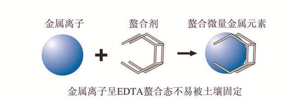 螯合态,螯合态微量元素,微量元素水溶肥厂家