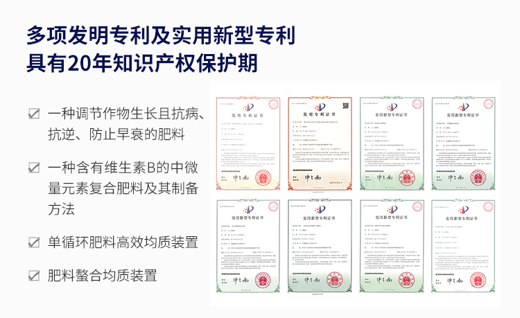 专利